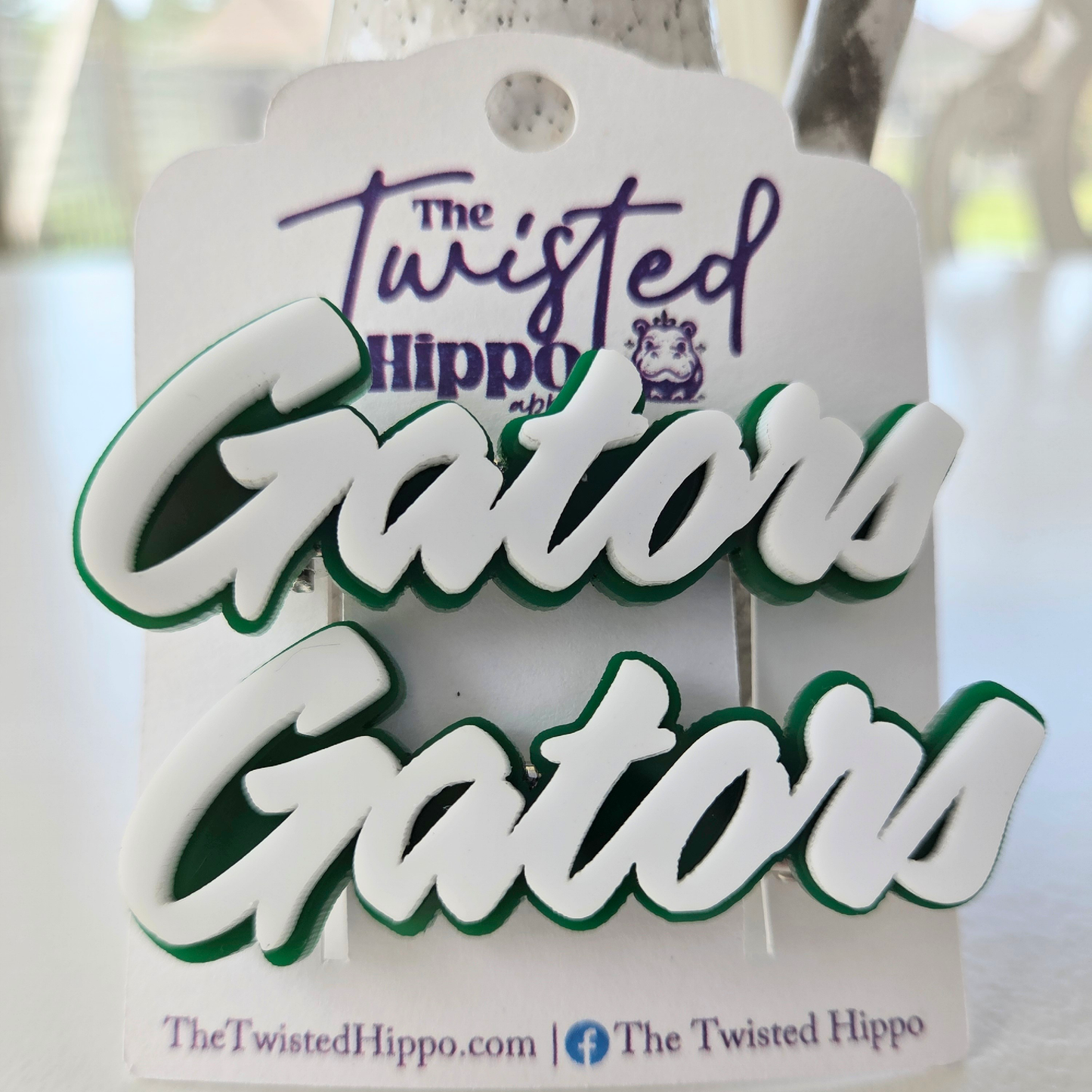 Gators Logo Alligator Clip Barrette Set
