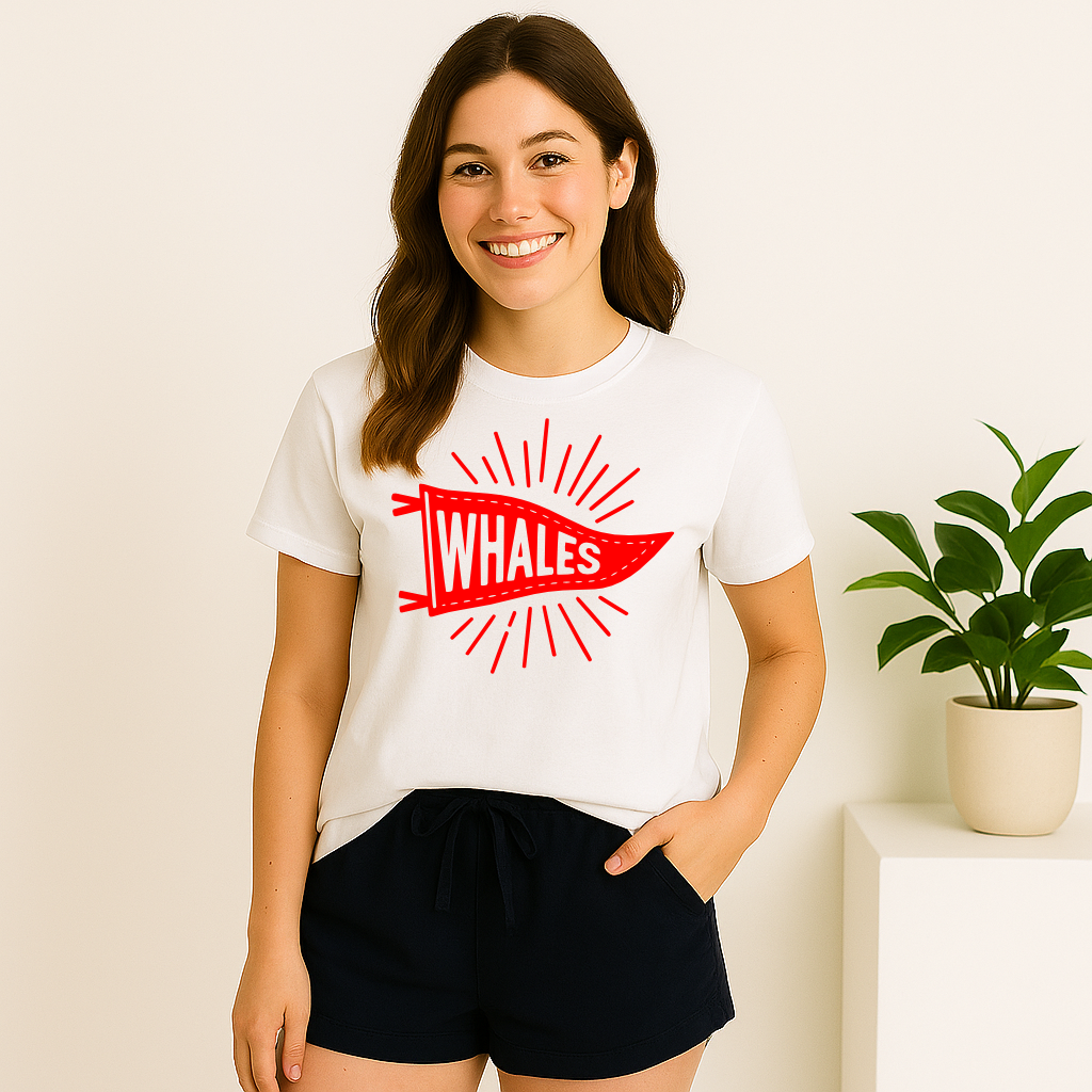 Mandeville Elementary Whales Pennant Sunburst Flag T-shirt