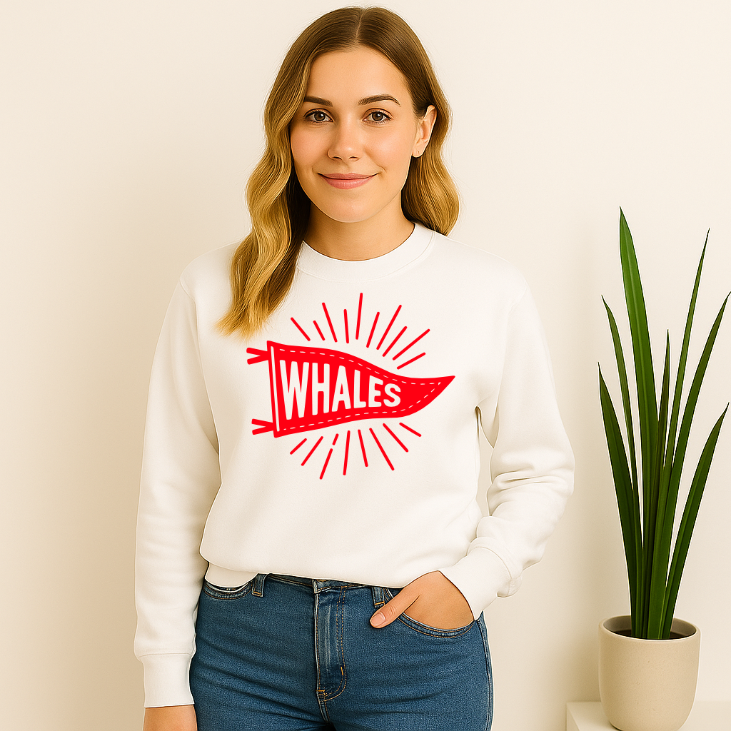 Mandeville Elementary Whales Pennant Sunburst Flag Sweatshirt