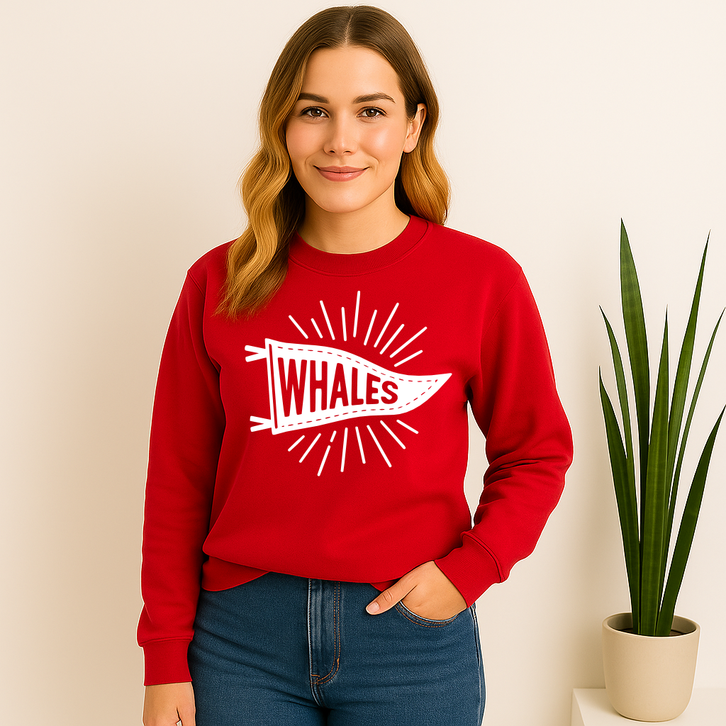 Mandeville Elementary Whales Pennant Sunburst Flag Sweatshirt