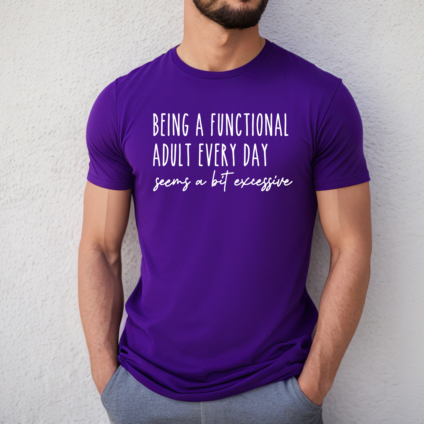 Being a Functional Adult Every Day Seems a Bit Excessive Funny Tee