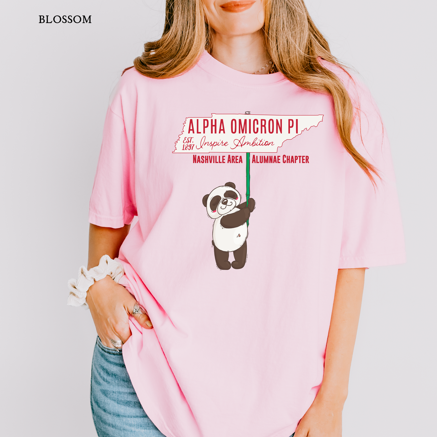 AOII Nashville Alumnae | Comfort Colors Short Sleeve Tee