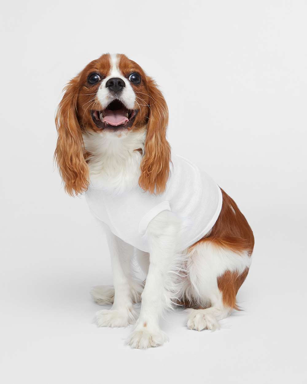 Doggie Shirts - Love has Four Paws