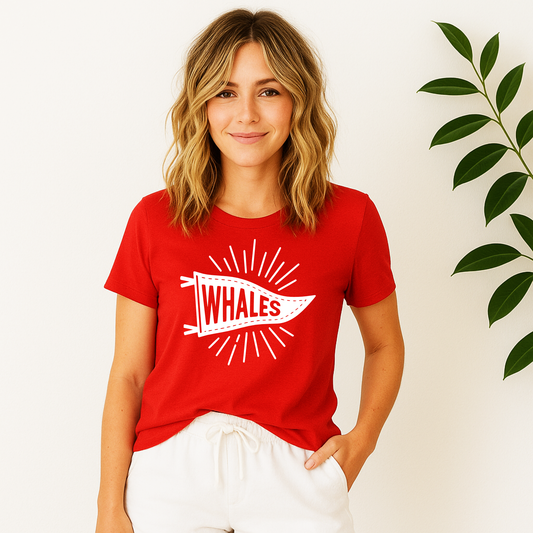 Mandeville Elementary Whales Pennant Sunburst Flag T-shirt