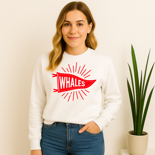 Mandeville Elementary Whales Pennant Sunburst Flag Sweatshirt