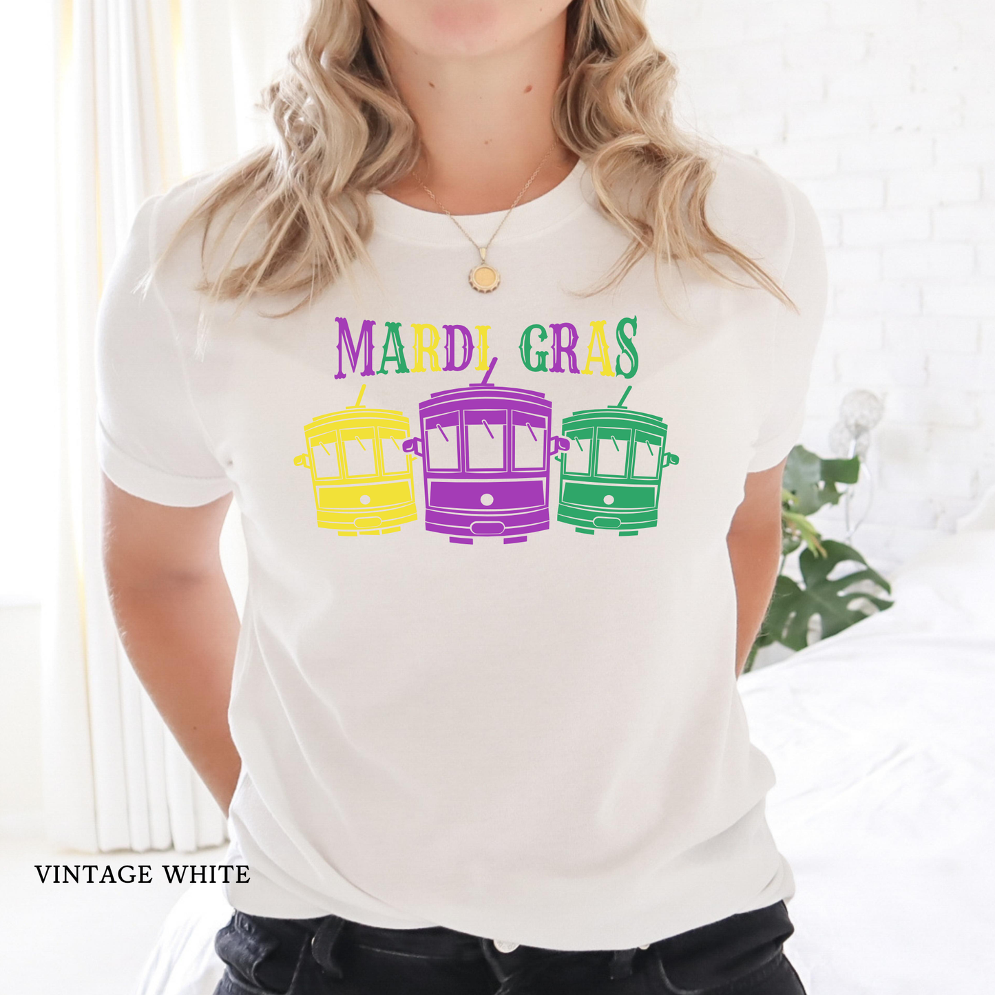 New Orleans Streetcars | Mardi Gras | Kids & Adults